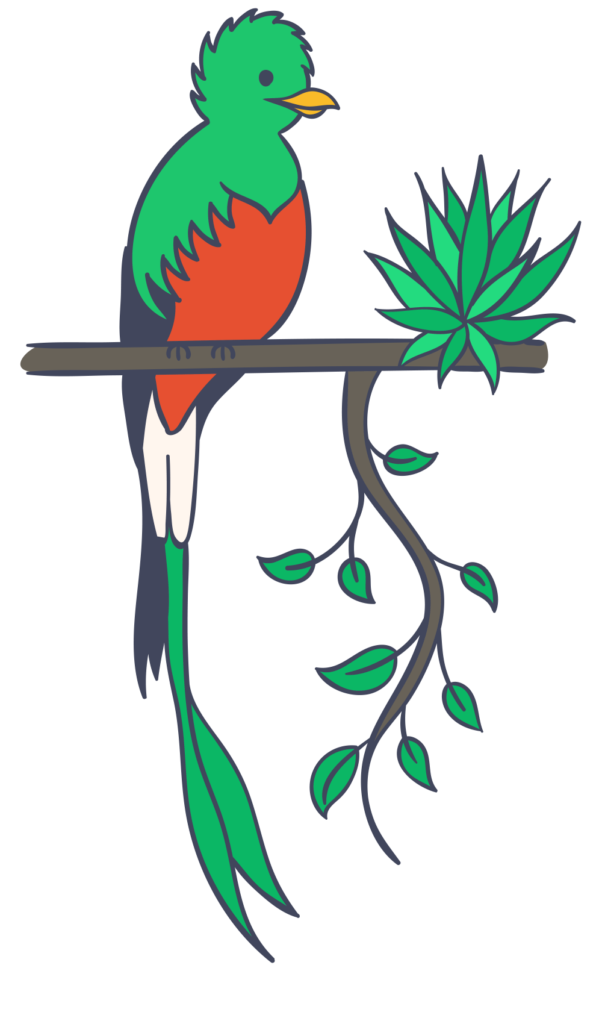 Centrum Kultury Latynoskiej - kolorowy ptak quetzal